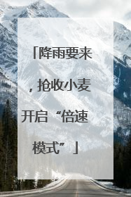 降雨要来，抢收小麦开启“倍速模式”